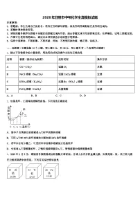2026年日照市中考化学全真模拟试题（含答案解析）