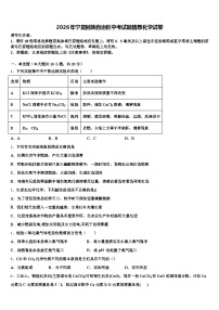 2026年宁夏回族自治区中考试题猜想化学试卷（含答案解析）