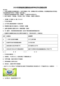2026年青海省海北藏族自治州中考化学全真模拟试卷（含答案解析）