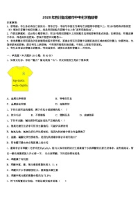2026年四川省成都市中考化学猜题卷（含答案解析）