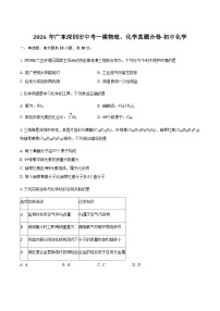 2026年广东省深圳市九年级中考一模化学试卷(含解析)