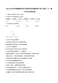 2025-2026学年湖南省长沙市长郡双语洋湖实验中学九年级（下）第一次月考化学试卷-自定义类型