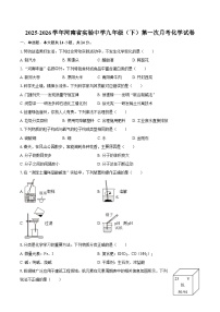 2025-2026学年河南省实验中学九年级（下）第一次月考化学试卷-自定义类型