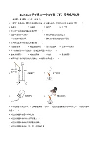 2025-2026学年重庆一中九年级（下）月考化学试卷-自定义类型