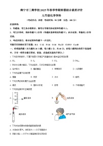广西南宁市三美学校2024-2025学年九年级下学期开学考试化学试题-A4