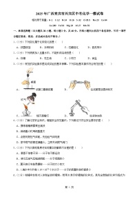 2025年广西来宾市兴宾区中考一模化学试卷-A4