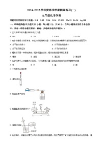 广西南宁市第三中学青秀校区2024-2025学年九年级下学期3月月考化学试题-A4