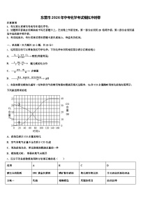 东营市2026年中考化学考试模拟冲刺卷（含答案解析）