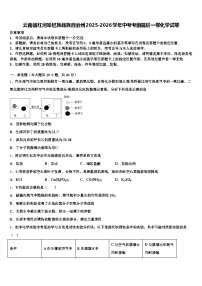 云南省红河哈尼族彝族自治州2025-2026学年中考考前最后一卷化学试卷（含答案解析）