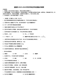 信阳市2025-2026学年中考化学考试模拟冲刺卷（含答案解析）