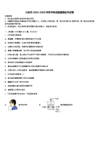 六安市2025-2026学年中考试题猜想化学试卷（含答案解析）