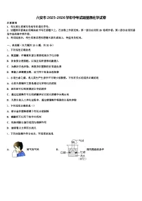 六安市2025-2026学年中考试题猜想化学试卷（含答案解析）