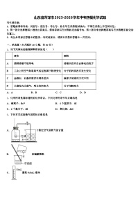 山东省菏泽市2025-2026学年中考四模化学试题（含答案解析）