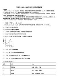 平凉市2025-2026学年中考化学仿真试卷（含答案解析）