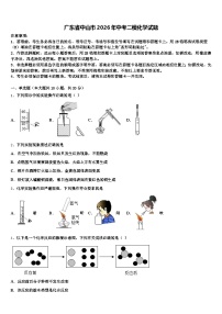 广东省中山市2026年中考二模化学试题（含答案解析）