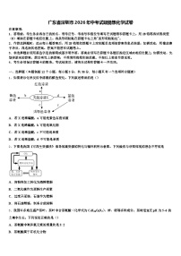 广东省深圳市2026年中考试题猜想化学试卷（含答案解析）