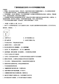 广西壮族自治区玉林市2026年中考四模化学试题（含答案解析）