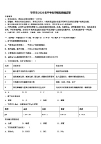 毕节市2026年中考化学模拟精编试卷（含答案解析）