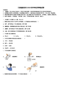 江西省新余市2026年中考化学押题试卷（含答案解析）