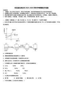 河北省石家庄市2025-2026学年中考四模化学试题（含答案解析）