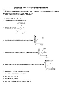 河南省南阳市2025-2026学年中考化学模拟精编试卷（含答案解析）