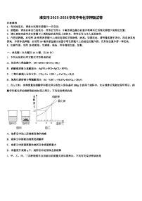 淮安市2025-2026学年中考化学押题试卷（含答案解析）