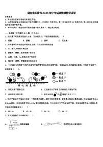 湖南省长沙市2026年中考试题猜想化学试卷（含答案解析）