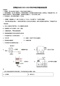 甘肃省天水市2025-2026学年中考化学模拟预测试卷（含答案解析）