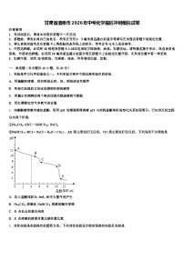 甘肃省酒泉市2026年中考化学最后冲刺模拟试卷（含答案解析）
