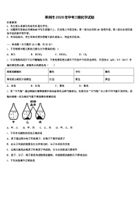 荆州市2026年中考三模化学试题（含答案解析）