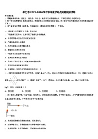 荆门市2025-2026学年中考化学对点突破模拟试卷（含答案解析）