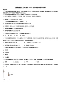 西藏自治区日喀则市2026年中考联考化学试卷（含答案解析）