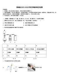 贵州省2025-2026学年中考联考化学试卷（含答案解析）