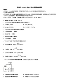 邯郸市2026年中考化学考试模拟冲刺卷（含答案解析）