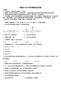 邵阳市2026年中考联考化学试卷（含答案解析）