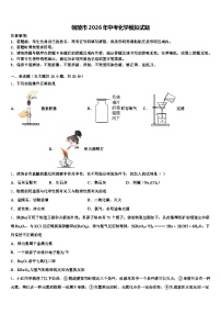 铜陵市2026年中考化学模拟试题（含答案解析）
