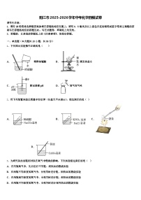 阳江市2025-2026学年中考化学四模试卷（含答案解析）