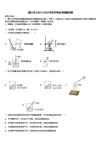 阳江市2025-2026学年中考化学四模试卷（含答案解析）