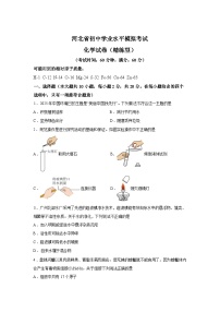 河北省沧州市任丘市2025-2026学年九年级下学期3月化学学情自测试卷（含答案）