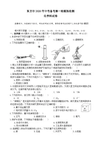 2026年海南东方市中考一模化学试题及答案