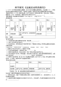 2020年中考人教版化学科学探究《金属活动性的探究》专题练习