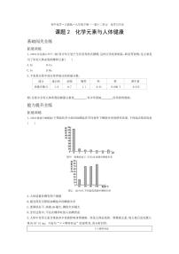 初中化学人教版九年级下册课题2 化学元素与人体健康练习