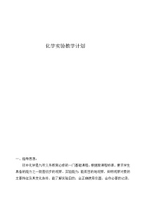 九年级化学化学实验教学计划