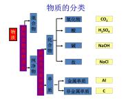 初中化学课题1 生活中常见的盐课堂教学ppt课件