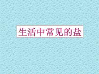 初中化学人教版九年级下册课题1 生活中常见的盐课文内容课件ppt