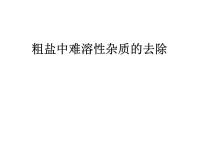 初中化学人教版九年级下册实验活动8 粗盐中难溶性杂质的去除多媒体教学课件ppt