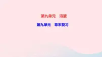 初中第九单元 溶液综合与测试复习ppt课件