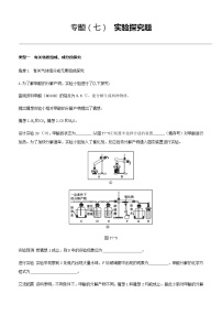 2021年沪教版中考化学专题复习训练：　实验探究题