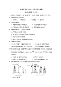 2017年湖北省武汉市中考化学试题（精校word版,含答案）