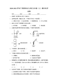 2020-2021学年广西贺州市八步区九年级（上）期中化学试卷